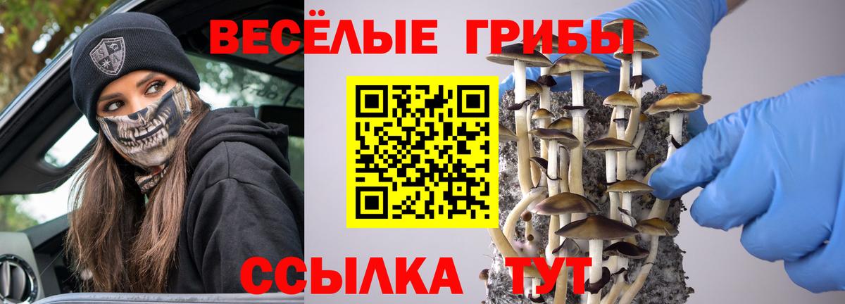 Галлюциногенные грибы прущие грибы Новосибирск