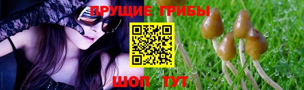 Псилоцибиновые грибы Psilocybe  Вход с VPN  Новосибирск  Галлюциногенные грибы мухоморы 